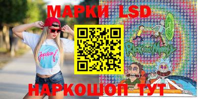 индика Михайловск
