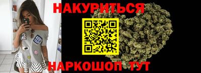 индика Михайловск