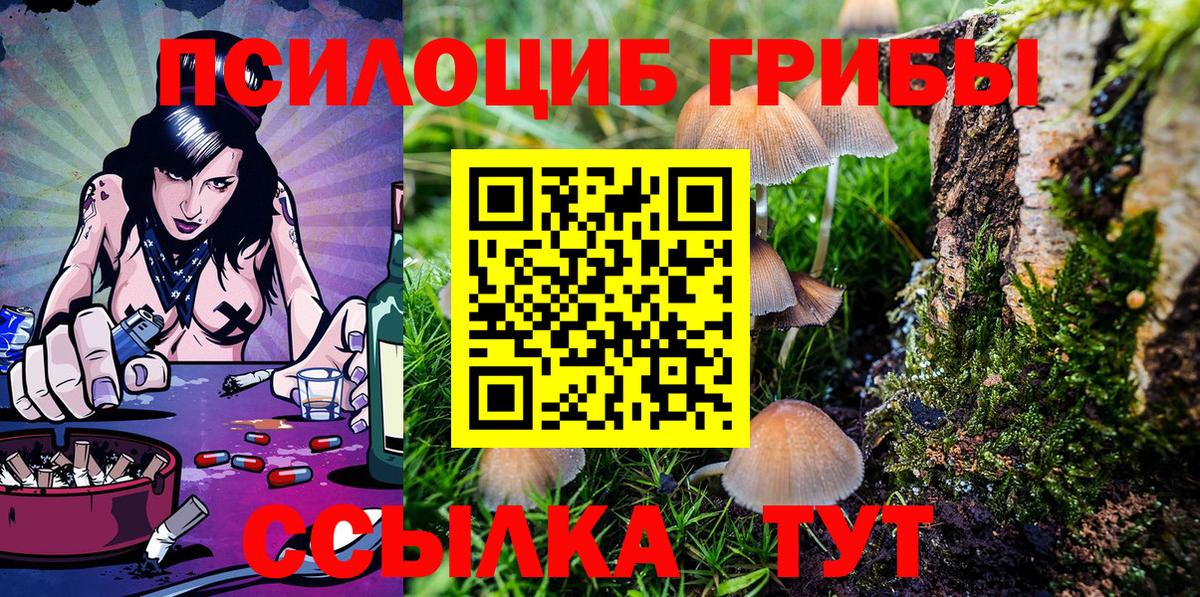 Псилоцибиновые грибы Psilocybine cubensis Каспийск