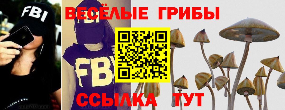 Псилоцибиновые грибы GOLDEN TEACHER  Вход с VPN  Каспийск 